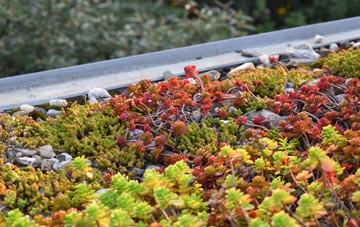 the cost of Charlton On Otmoor green roof installation
