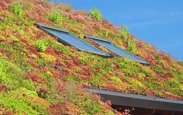 Charlton On Otmoor living roof systems
