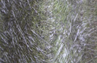 Charlton On Otmoor fibreglass roof work